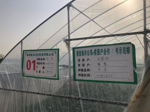 三方協(xié)同加碼，以技術轉讓與咨詢助推脫貧攻堅